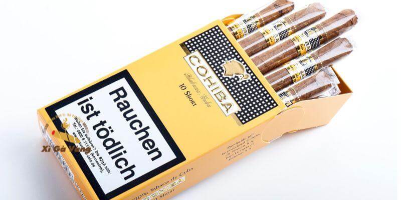 Phân khúc cao cấp phù hợp với người chơi có kinh nghiệm.